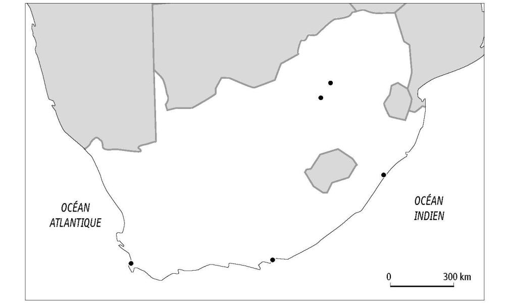 L'Afrique du Sud